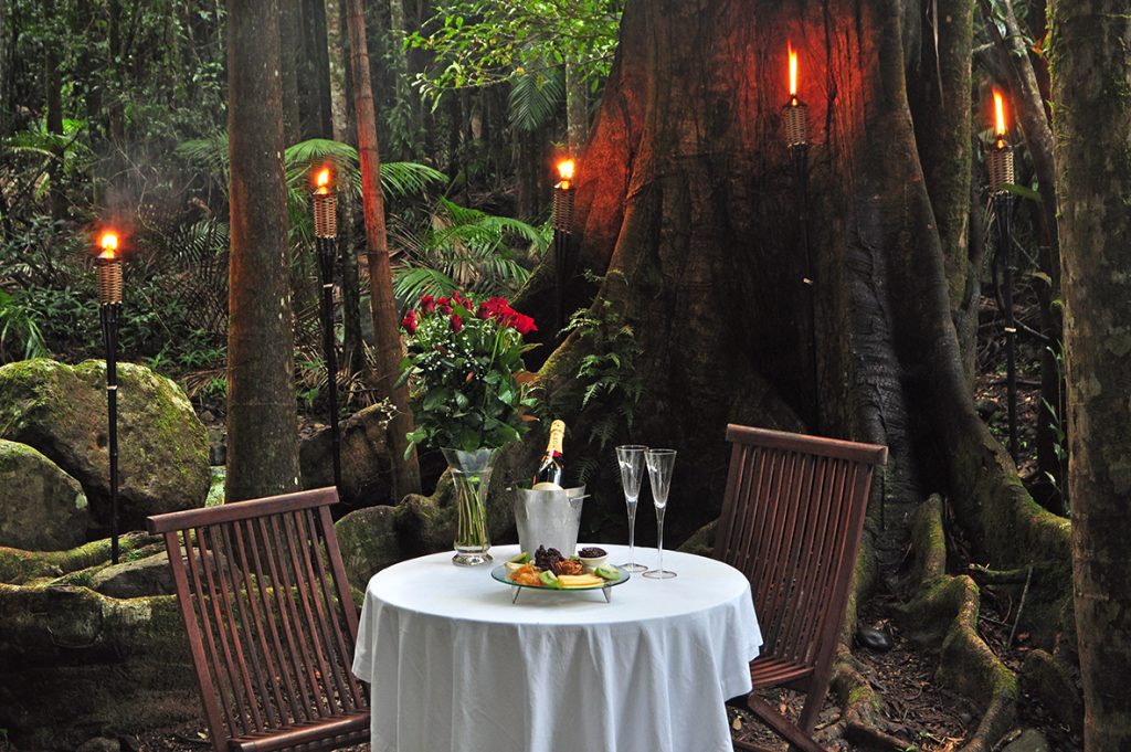 Crystal-Creek-Rainforest-Retreat-Rainforest-Immersion