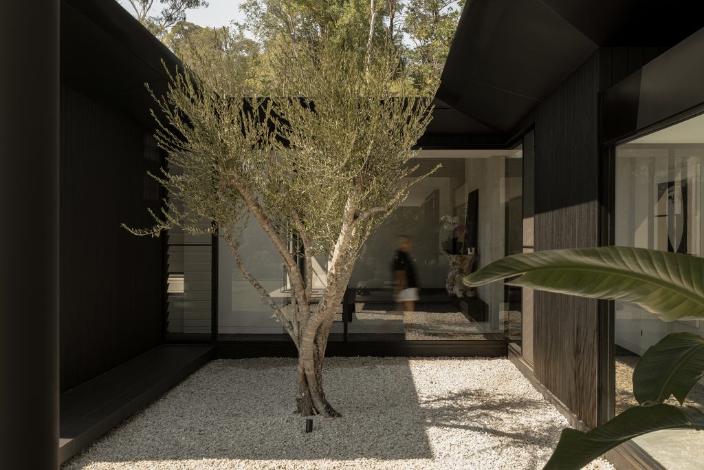 Blackwood-Doonan-Modern-Contemporary-Home-landscape-design