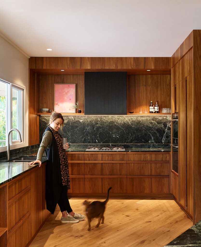 Goode Residence by Hive Architecture - Scott Burrows Photo - kitchen counters and cabinets