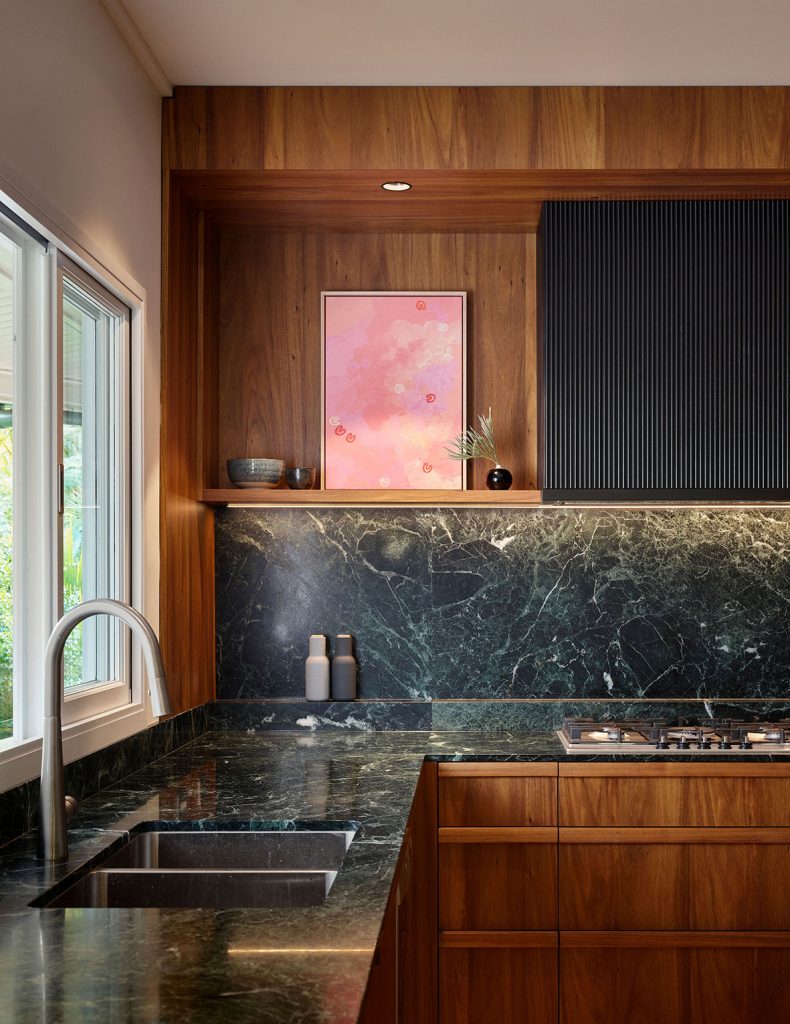 Goode Residence by Hive Architecture - Scott Burrows Photo - kitchen counters and sink