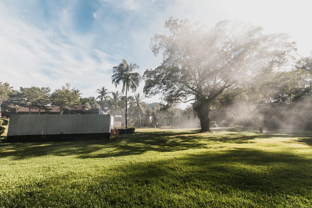 The-Slate-Phuket-Coliseum-Garden